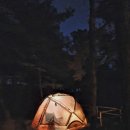 파인힐 캠프 이미지