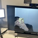 한국1차 | [취준] 2024 하반기 한국투자증권 1차면접 후기
