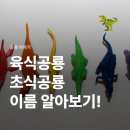 트리케라톱스-2 | 육식 초식 공룡 종류 이름 알아보기! 티라노사우루스, 트리케라톱스, 벨로시랩터