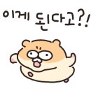 동백다찌