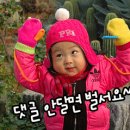 인터넷지로 제공되는 서비스/납부가능요금 종류 이미지