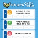 새빛태권도