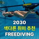 서울 프리다이빙 강습, 초보도 가능한 고고다이브 체험 후기