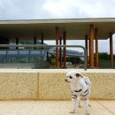 삼덕동 360-3 이미지