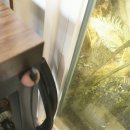 종로-연건-종로-연-336 | 경복궁역 맛집 "서촌 고기연" ft.목살카세, 고품장 후기