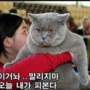 부티크77