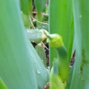 (주)삼동 이미지