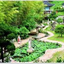 2019-주117 이미지