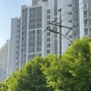 [ 신현동 카페 ] 인천 서구 채광좋은 닛시카페 방문후기