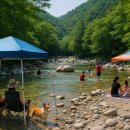 그늘막67 이미지