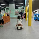 키즈베이파크 | 광명 대형키즈카페 키즈베이파크 8살, 3살 아이 찐후기