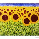 해바라기의꿈 이미지