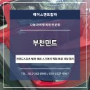에이스덴트칼라