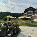 해바라기 애견 이미지