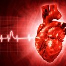 삼성복지용구센터 이미지