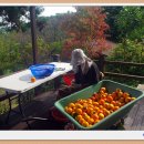 삶에 대한 감사 - 2025년 추수감사 주일에 이미지