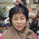 준머리방 이미지