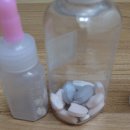 민들레1 이미지