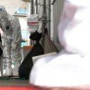 풀코스당구장 이미지