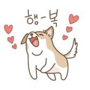 우리집 멍뭉 이미지