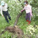 대목2천 이미지