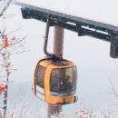 팔공산케이블카 이미지