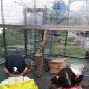 청태산목장 이미지