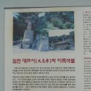 대조사 :~ 충남 부여 임천면 소재 이미지