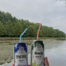 죠탕죠탕 네이버블로그