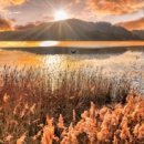 도화면사무소 이미지