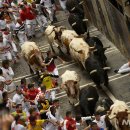 리오목장 이미지