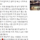 원투HIT복싱 이미지