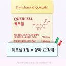 셀라이프 | 염증수치 낮추는 영양제 닥터퀘르 퀘르셀 섭취 후기 케르세틴 효능 효과