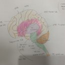슬기로운 뇌과학 생활 이미지