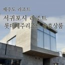 피엔피아트 네이버블로그