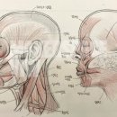 동광로1길 99 (1) 이미지