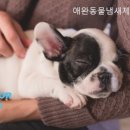 너.애.개 이미지