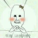 뀨 Daum카페