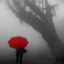 어둔(여) 이미지