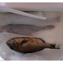 관봉초등학교 이미지