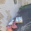 대림공판장 이미지