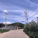 비봉 한우 농장 | 태행산백패킹 후기#베어투스80