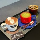 Salon Music 이미지