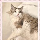 아이조아 요양보호소 서울점 이미지