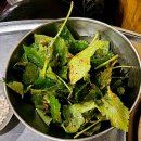 봉봉연탄불생고기 | 서울송정역 연탄불생고기 한접시600g 내돈내산 솔직후기 연탄에구워진 진정한화로맛고기를 느끼고싶은사람