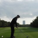 피닉스클럽 이미지