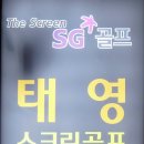 태영스크린 이미지
