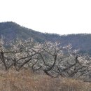 탐진농원 이미지