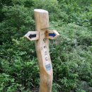 달마고도 이미지