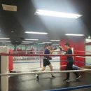 봉담복싱체육관 이미지